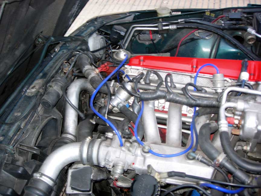 DSCN1350.jpg