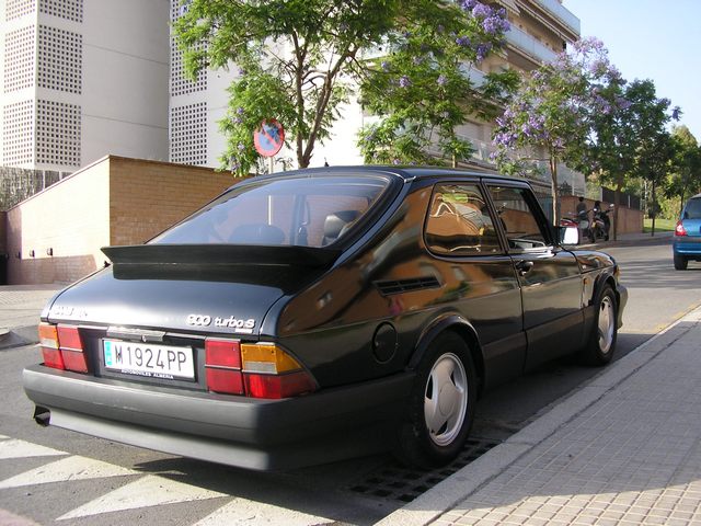 lateralposterior.jpg