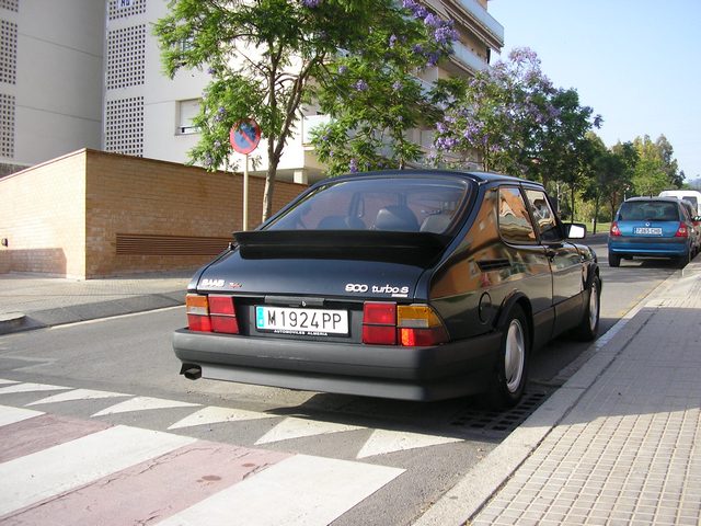 t2.jpg