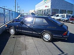 53260214_1.jpg
