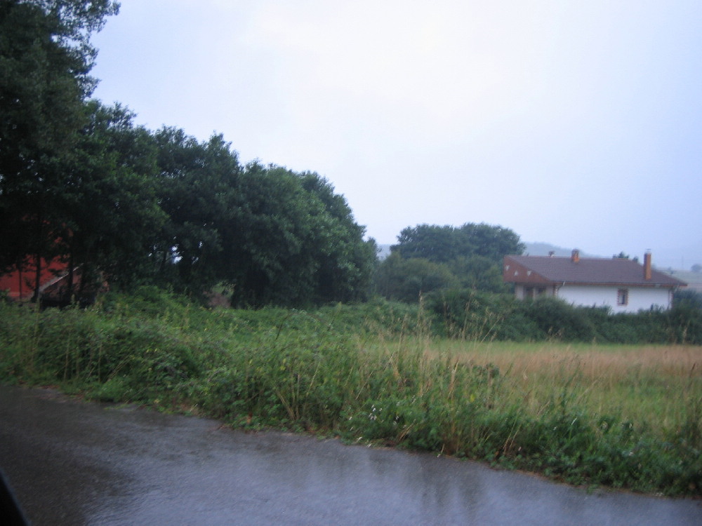 Rodeada de arbustos.