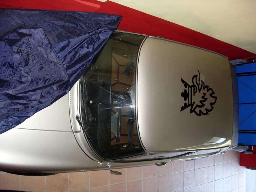 DSCN3629.jpg