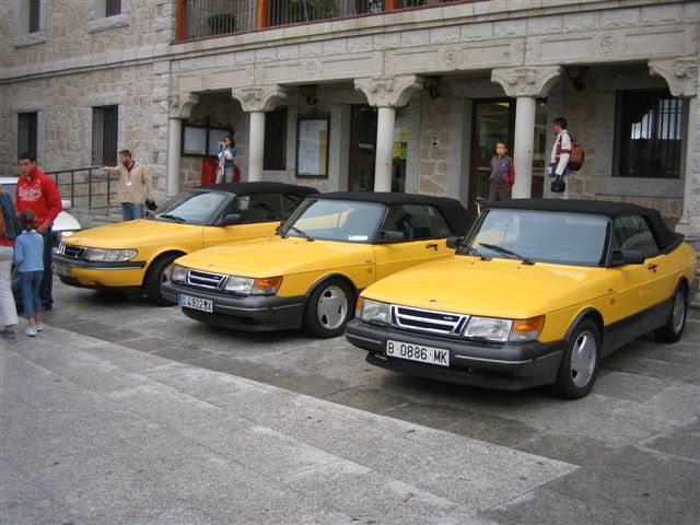 yellow.jpg