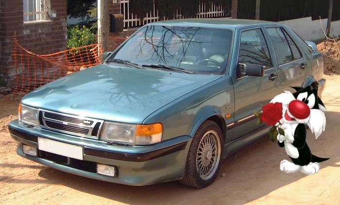 R21_T.jpg