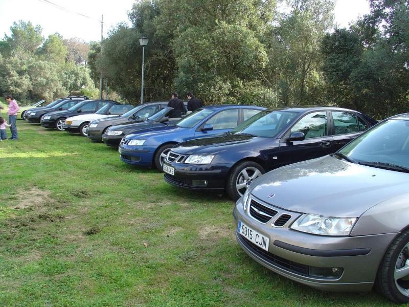 11 saabs reunidos en Romanyà de la Selva (Girona)