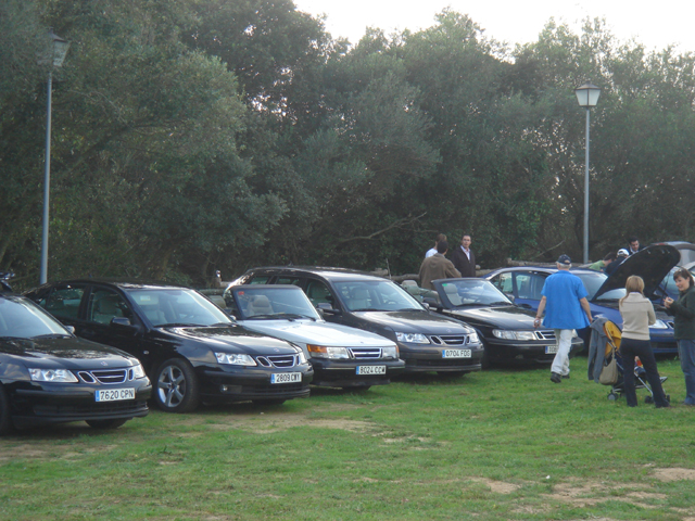 Detalle SAAB's - 2