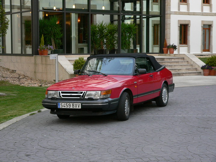 P1010291.jpg