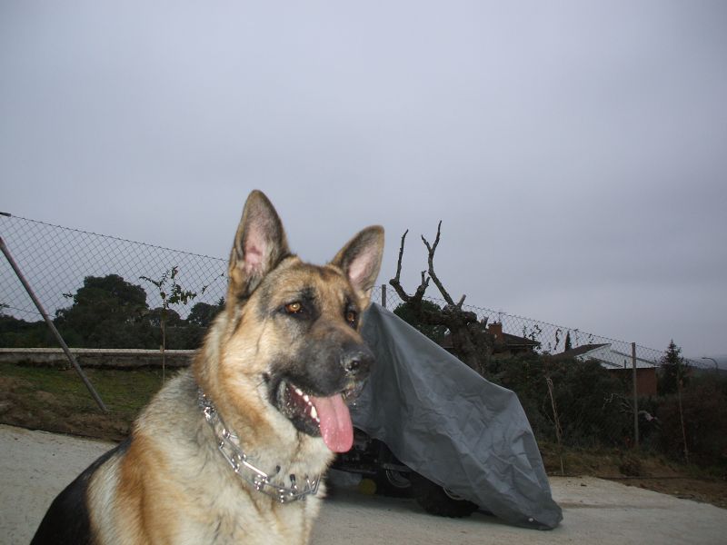 DSCF0028.JPG