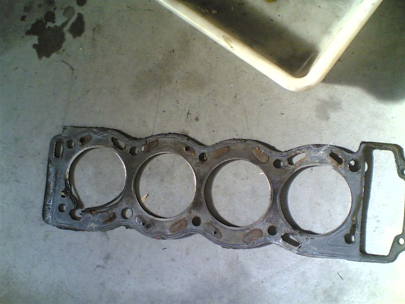 09022007.jpg