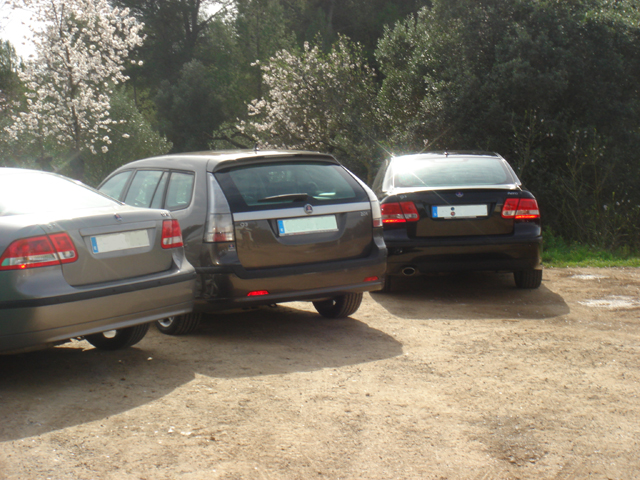 Tres bonitos culos...