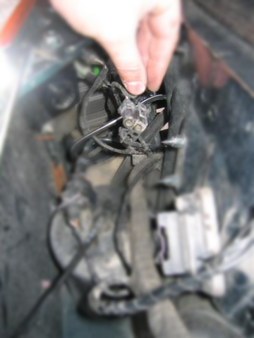 cableSuelto1 (Small).JPG
