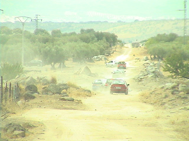 Desfile-7