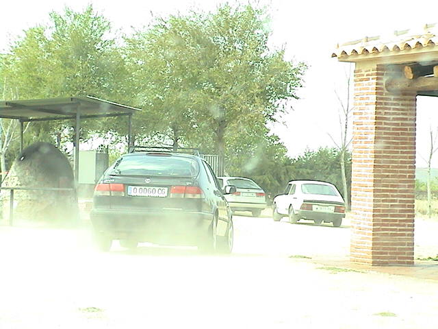 Desfile-6