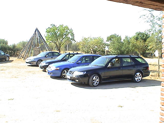 Desfile-5