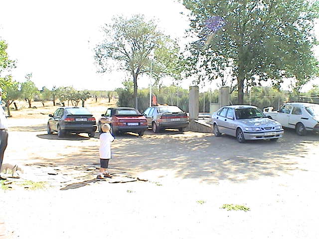 Desfile-3