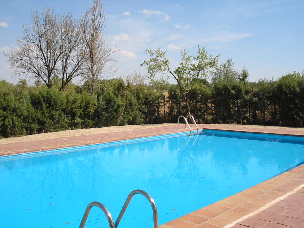 La piscina antes de que toke se tirase a bomba y provocase un maremoto que lavó nuestros coches