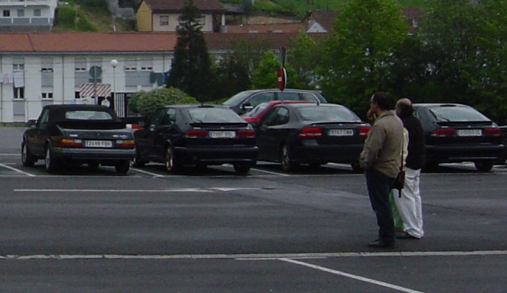 DSC01906 RR.JPG