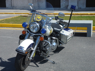 DSC04345.jpg