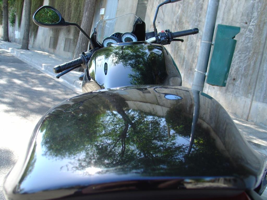DSC02417.JPG