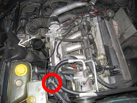 Motor.jpg