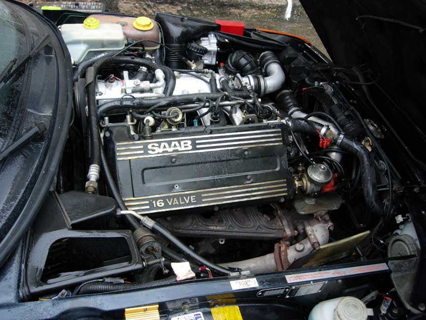 DSCN8646.jpg