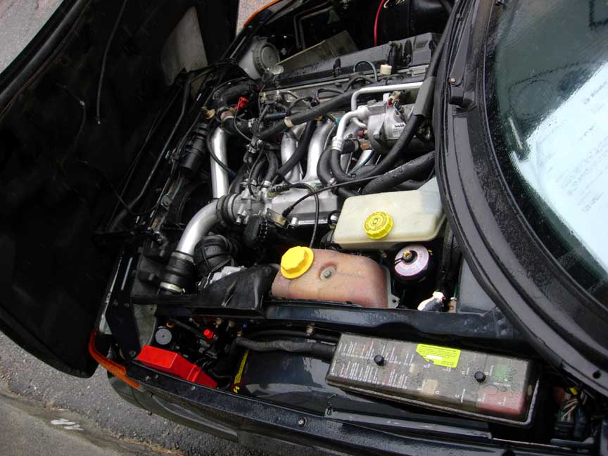 DSCN8645.jpg