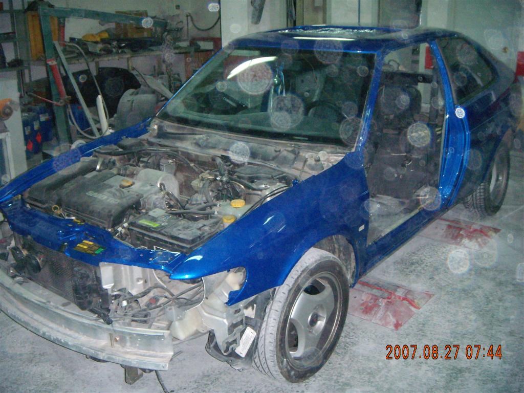 DSCN1064 (Large).JPG