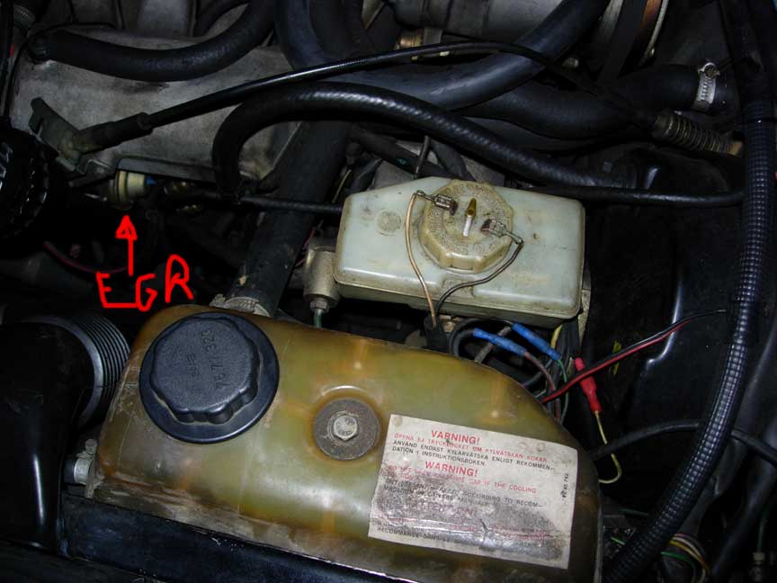 DSCN8764.jpg