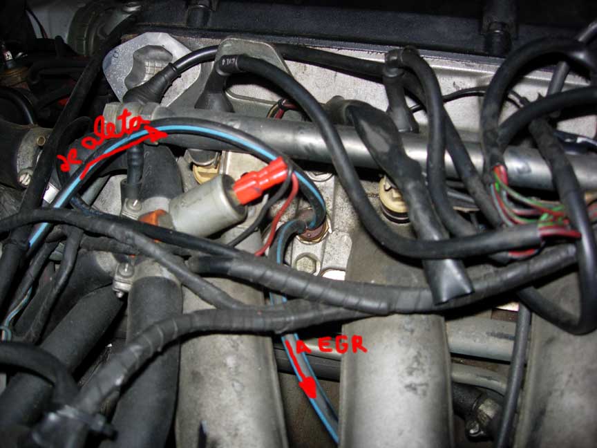 DSCN8761.jpg