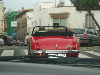 P1050051 (Small).JPG