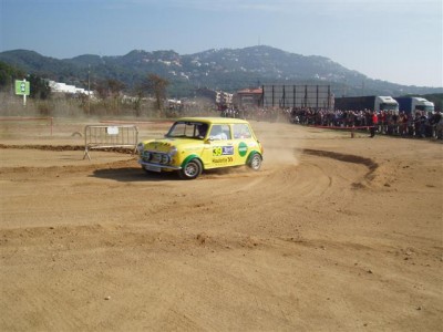 Mini (Small).JPG