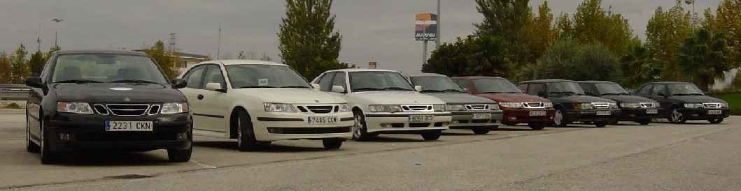 Estepa 02R.jpg
