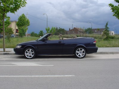 Alu 36 1.JPG