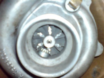DSC01208.JPG