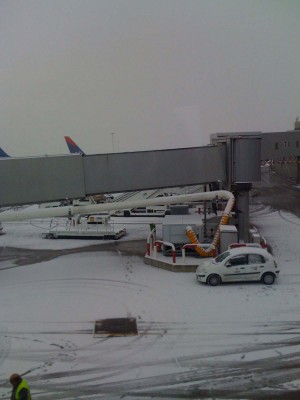 IMG_0192_1.jpg
