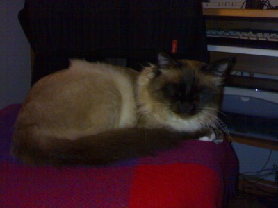 20112007002_2.JPG
