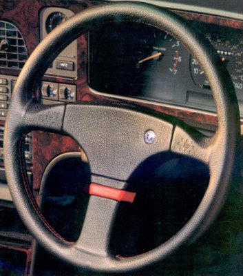 carly_wheel.jpg