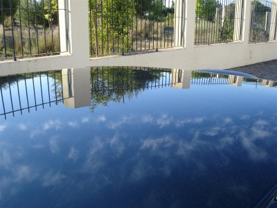 DSC01802 (Medium).JPG