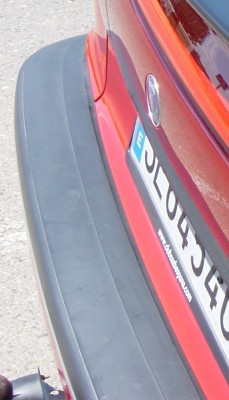 DSC02890 RR.JPG