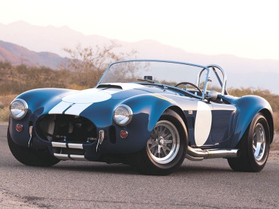 accobra.jpg