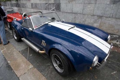 cobra2.jpg