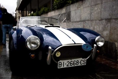 cobra.jpg