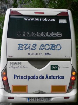 Bus Lobo.JPG
