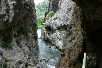 P1100250.JPG