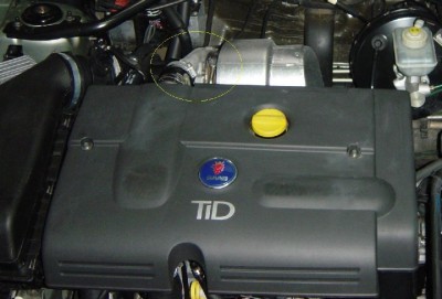 TID 125.JPG