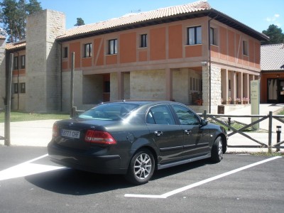 buitre-s.jpg