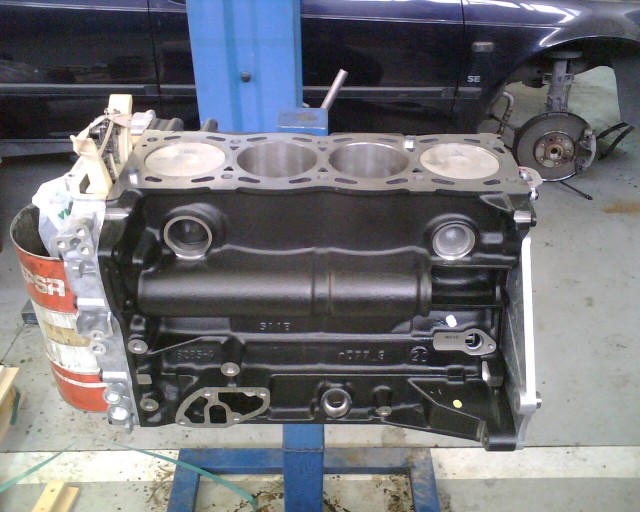 IMG00416.jpg