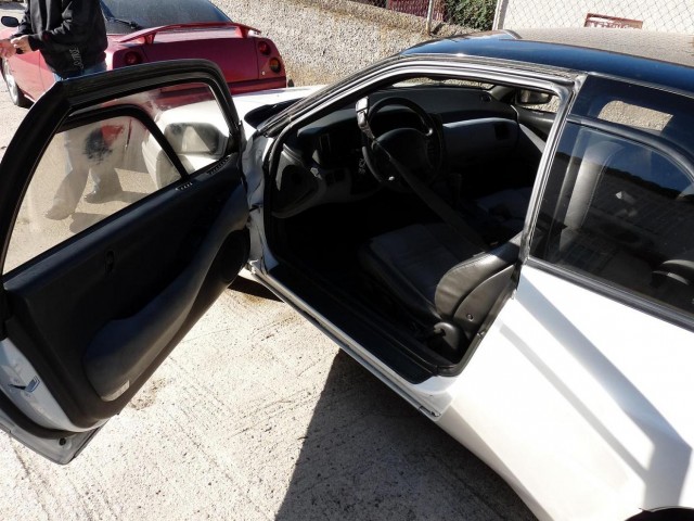 P1030040.JPG