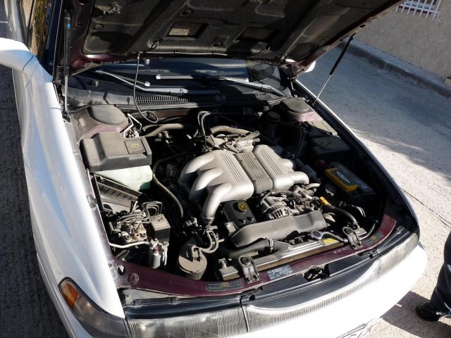 P1030081.JPG