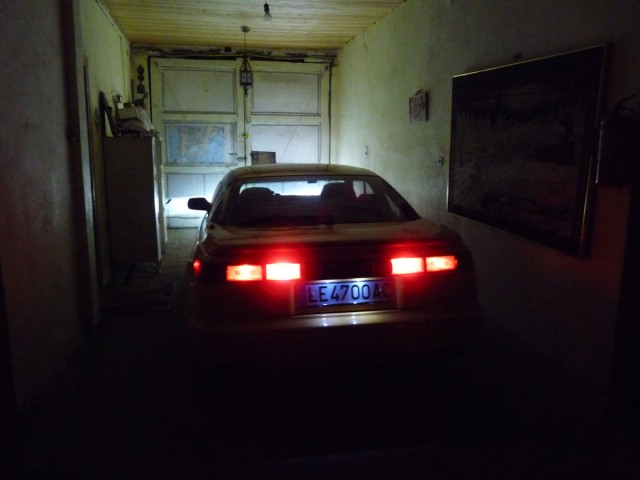 P1030143.jpg